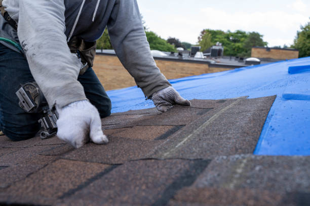 Roof Waterproofing Services in Burbank, WA